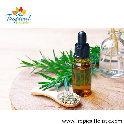 Rosemary Essential Oil