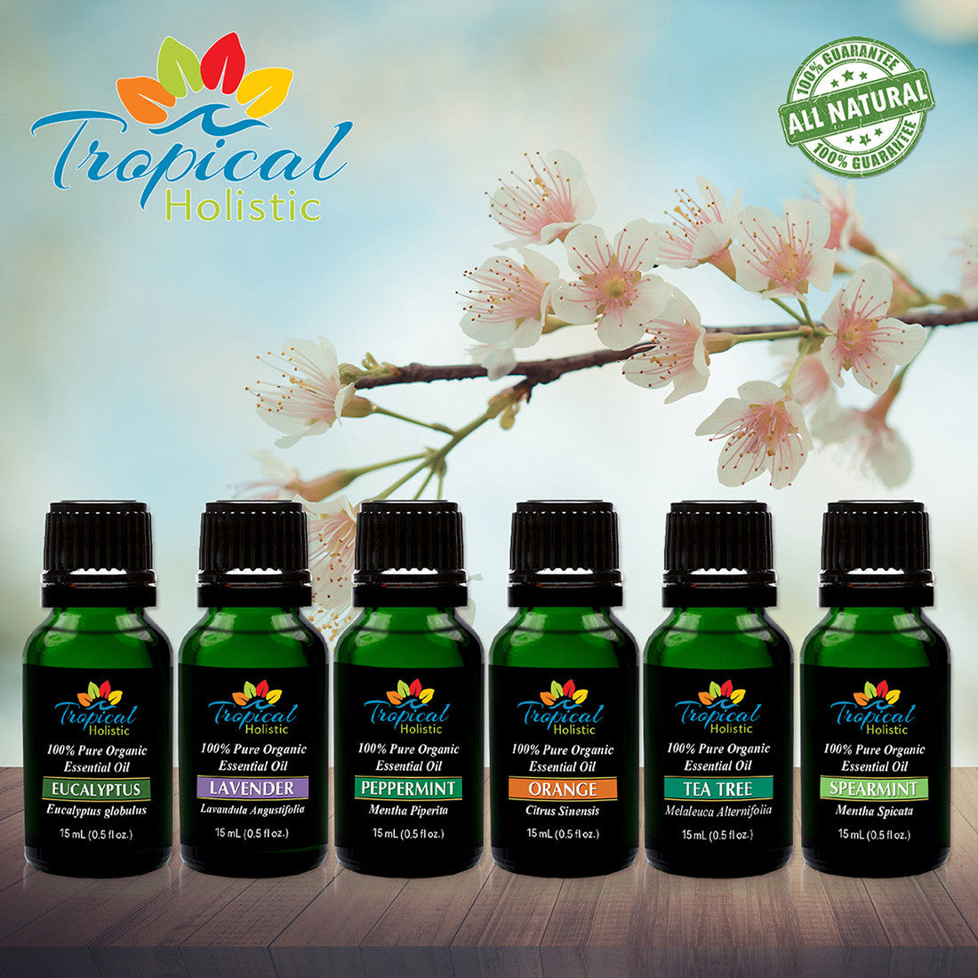 Premium Essential Oil Aromatherapy Starter Kit, (Pack of 6/15ml) - Tropical-Holistic