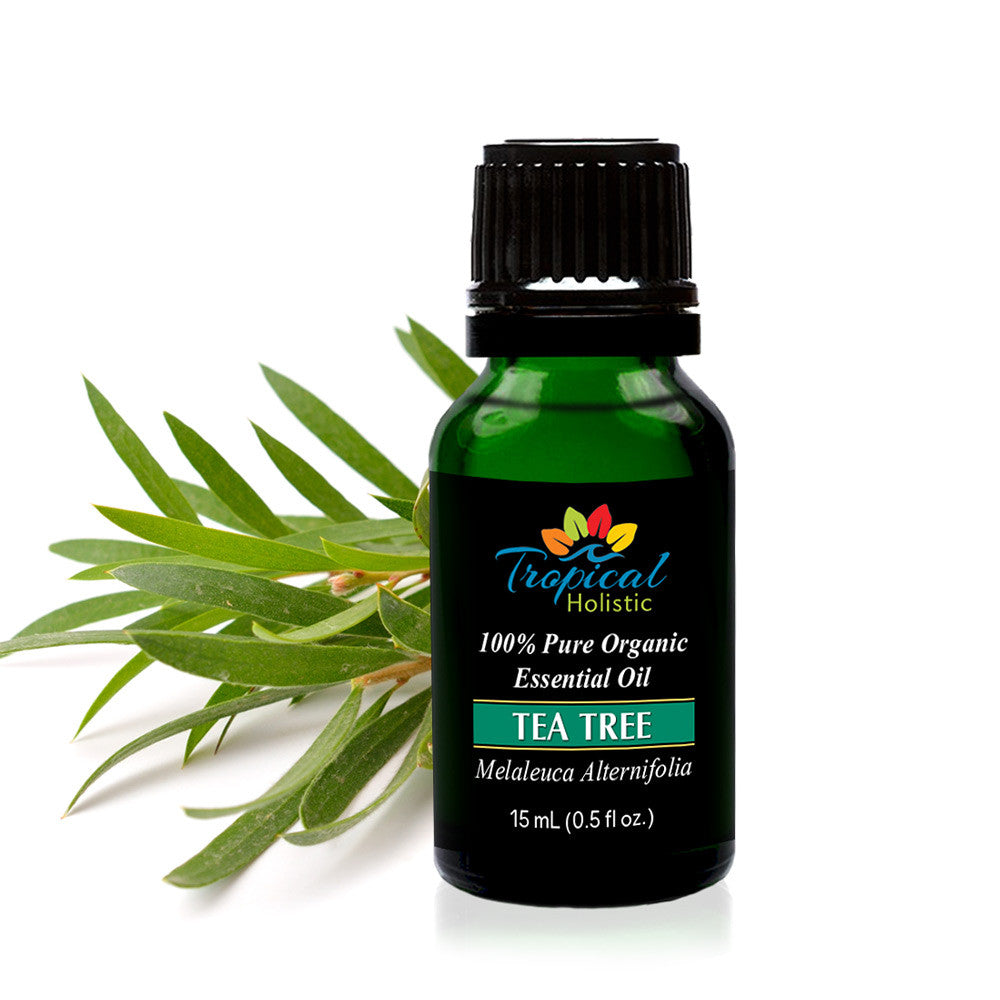 Tea Tree Organic Essential Oil 15ml (1/2 oz) -100% Pure & Undiluted - Tropical-Holistic