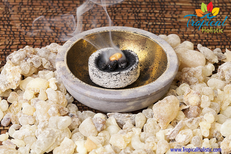 Frankincense Essential Oil: A Secret of the Ancients