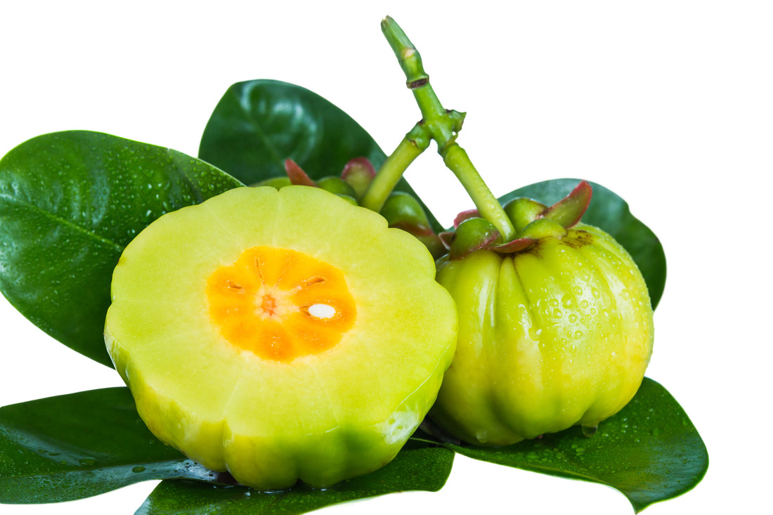 Fat burning How you can Avoid Poor nutrition And also Cravings Discomforts