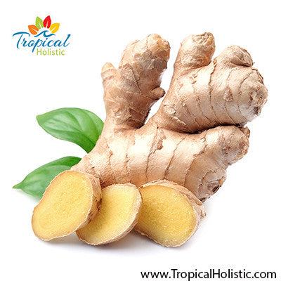 Ginger Essential Oil