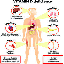 An Overview of the D Vitamin