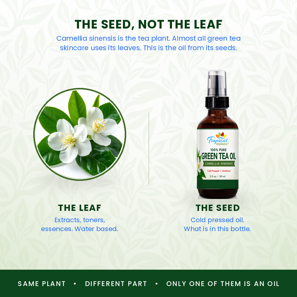 100% Pure Green Tea Seed Oil – Cold Pressed & Unrefined, 2 oz