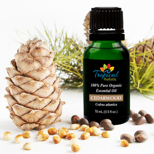 Cedarwood Organic Essential Oil 15ml (1/2 oz), 100% Pure Therapeutic Grade- Tropical-Holistic