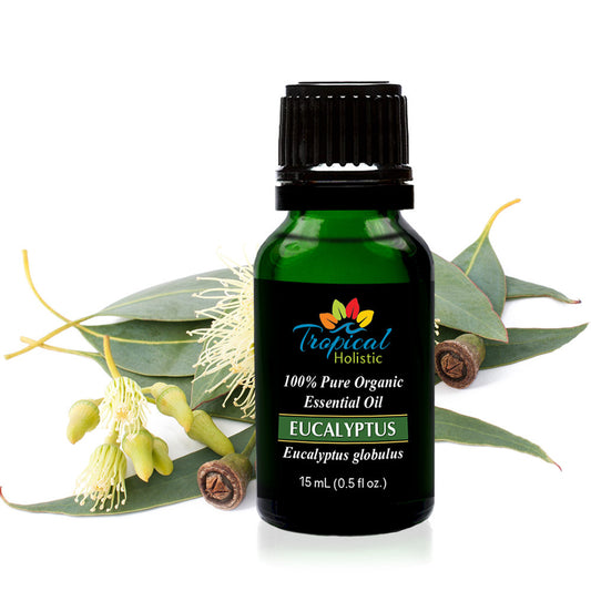 Eucalyptus Globulus Organic Essential Oil 15ml (1/2 oz) -100% Pure & Undiluted- Tropical-Holistic