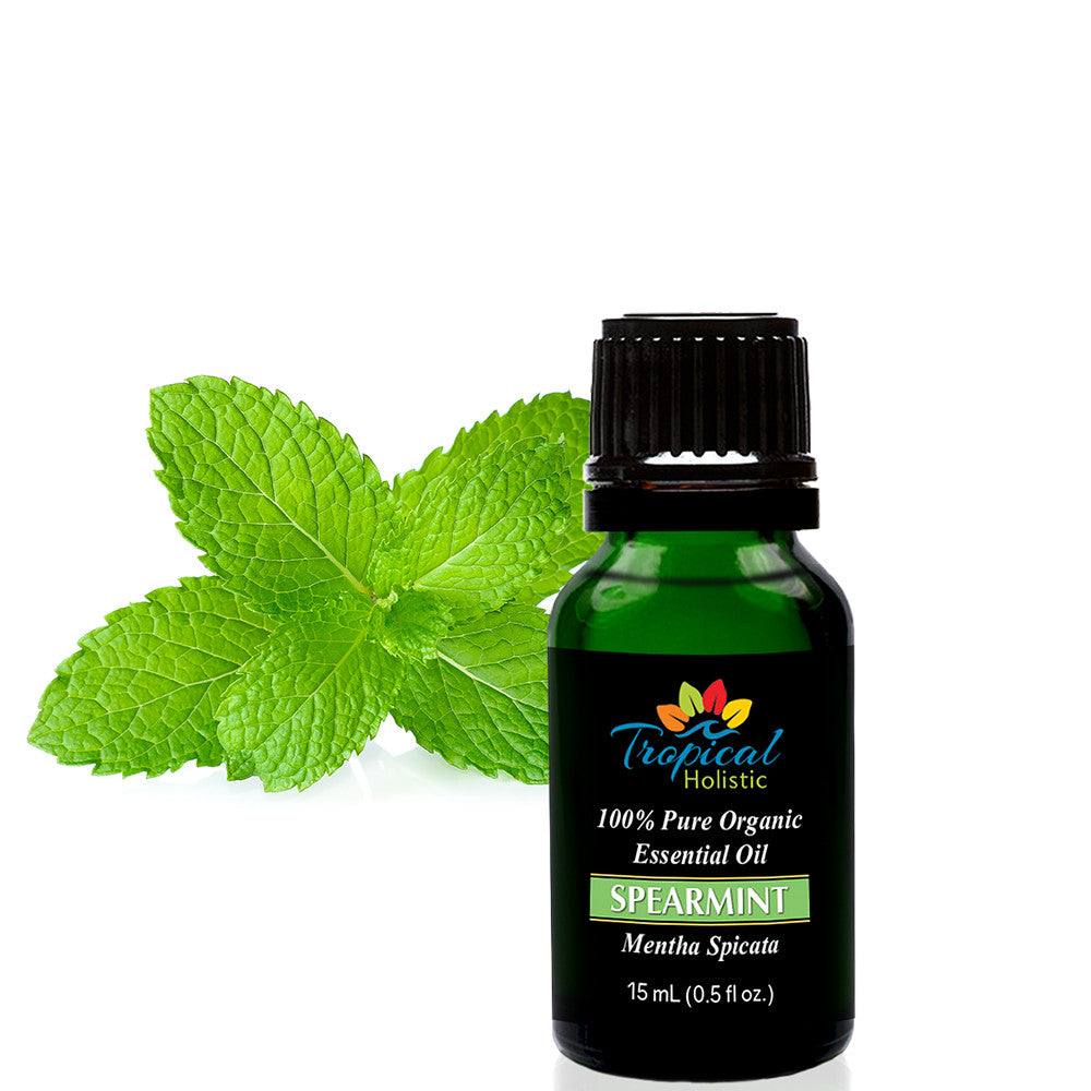 Spearmint Organic Essential Oil 15ml (1/2 oz) -100% Pure & Undiluted - Tropical-Holistic