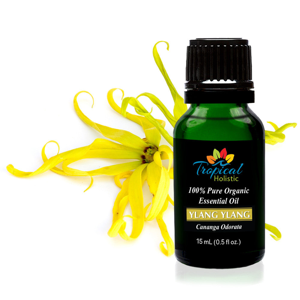 Ylang Ylang II Organic Essential Oil 15ml (1/2 oz),100% Pure Therapeutic Grade Aromatherapy - Tropical-Holistic